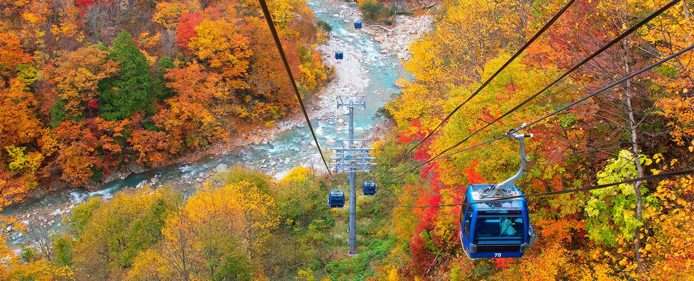 นาเอบะ ดรากอนโดรา