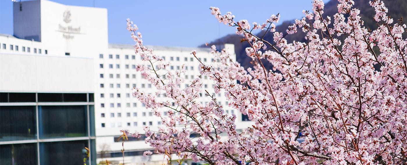 รีสอร์ทภูเขาที่สัมผัสได้ถึงความงดงามของทั้งสี่ฤดู