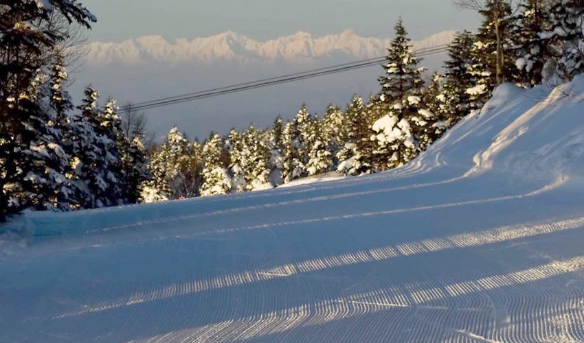 志賀高原プリンスホテル の宿泊プラン 宿泊予約は 一休 Com