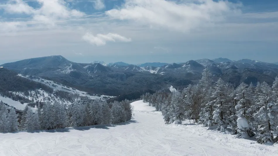 Shiga Kogen Prince Hotel