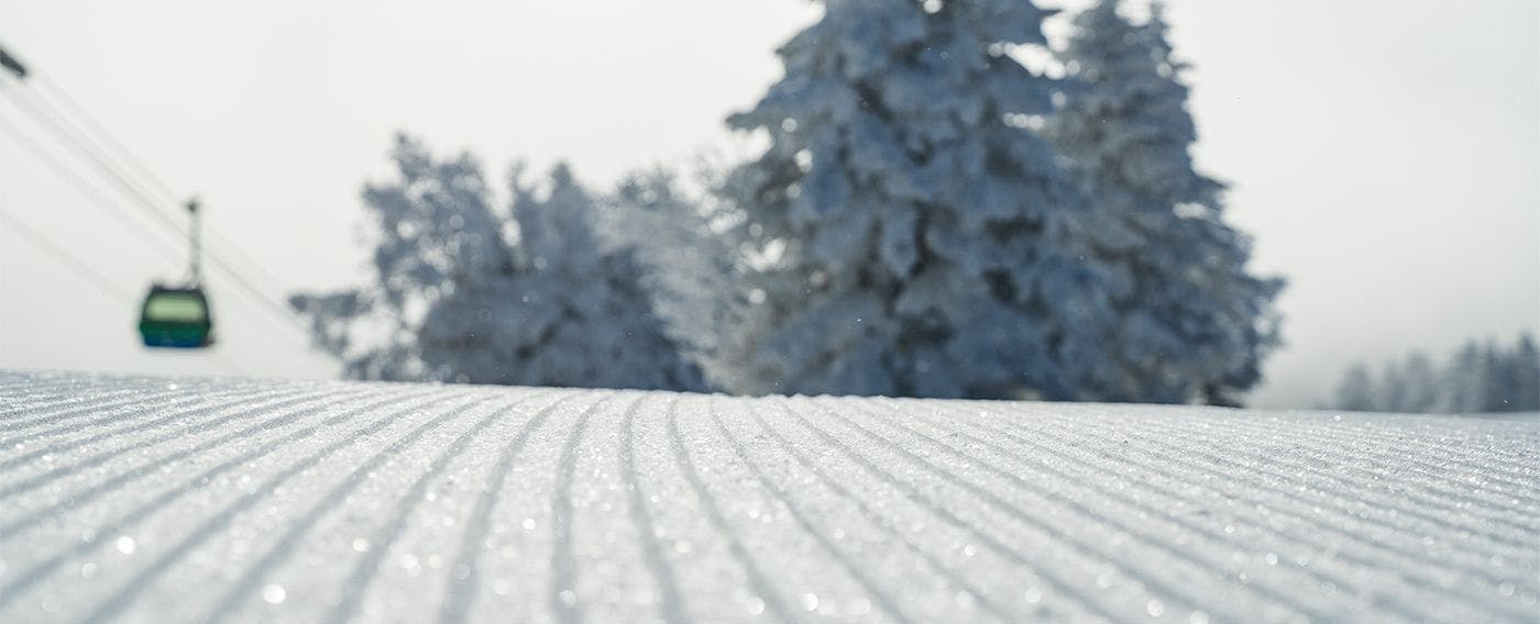 気温が裏付けるヤケビの雪質の良さ