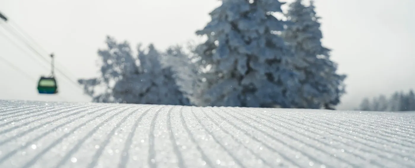 気温が裏付けるヤケビの雪質の良さ