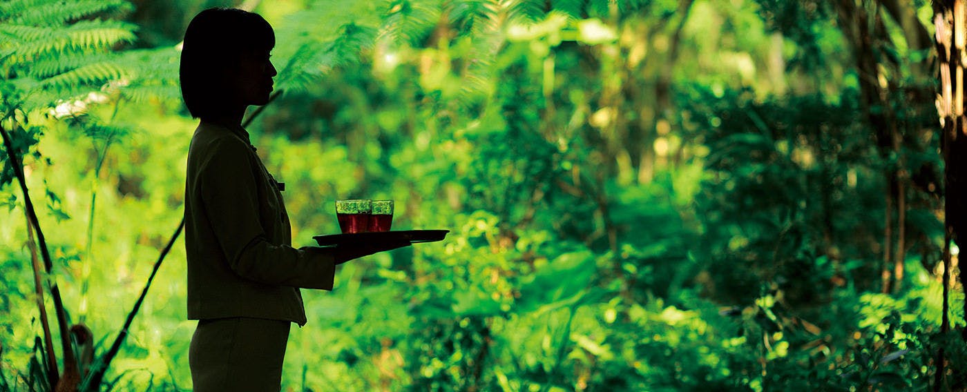 การต้อนรับอย่างอบอุ่น