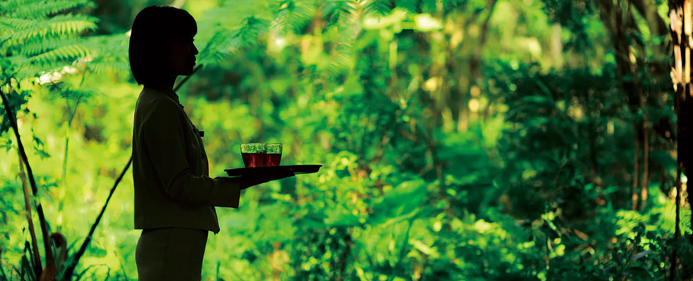 การต้อนรับอย่างอบอุ่น