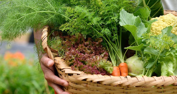 夕食はレストラン 沖縄 バリアフリー対応が高評価の宿 5選 宿泊予約は 一休 Com 夕食はレストラン 沖縄 バリアフリー対応が高評価の宿 5選 宿泊予約は 一休 Com