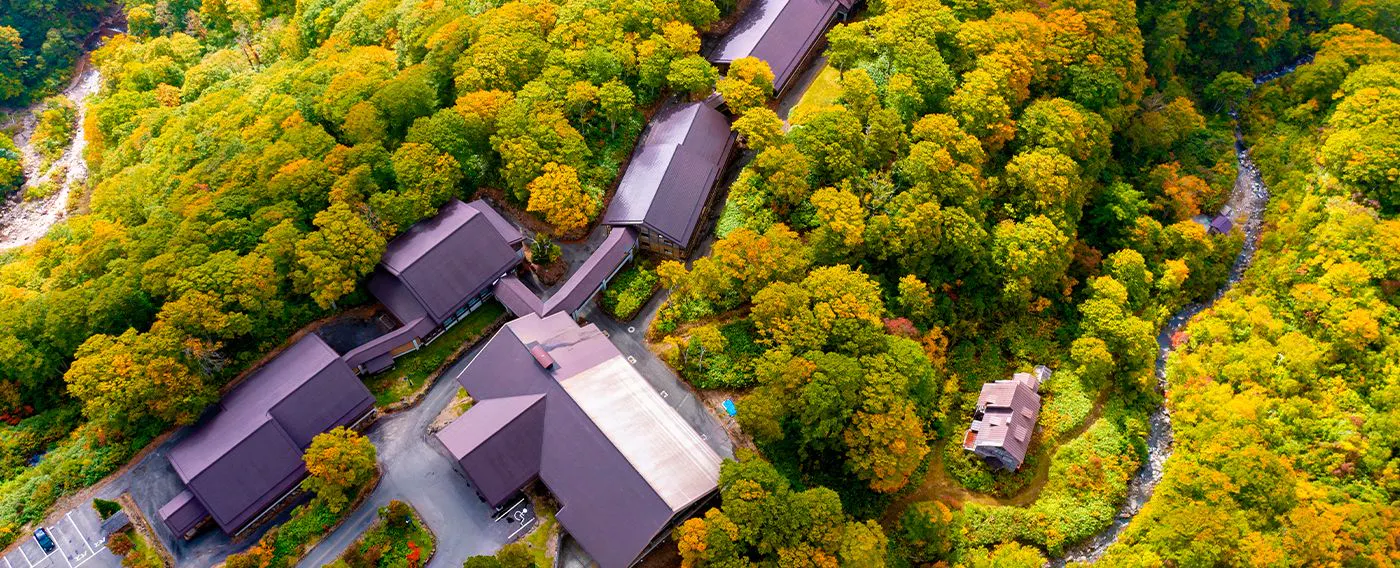風景に溶け込む外観