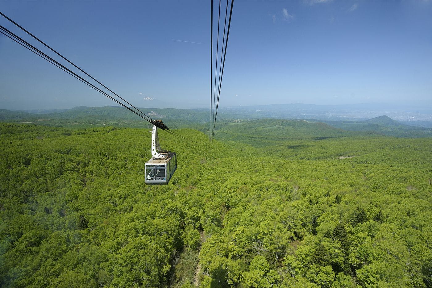 アクティビティ