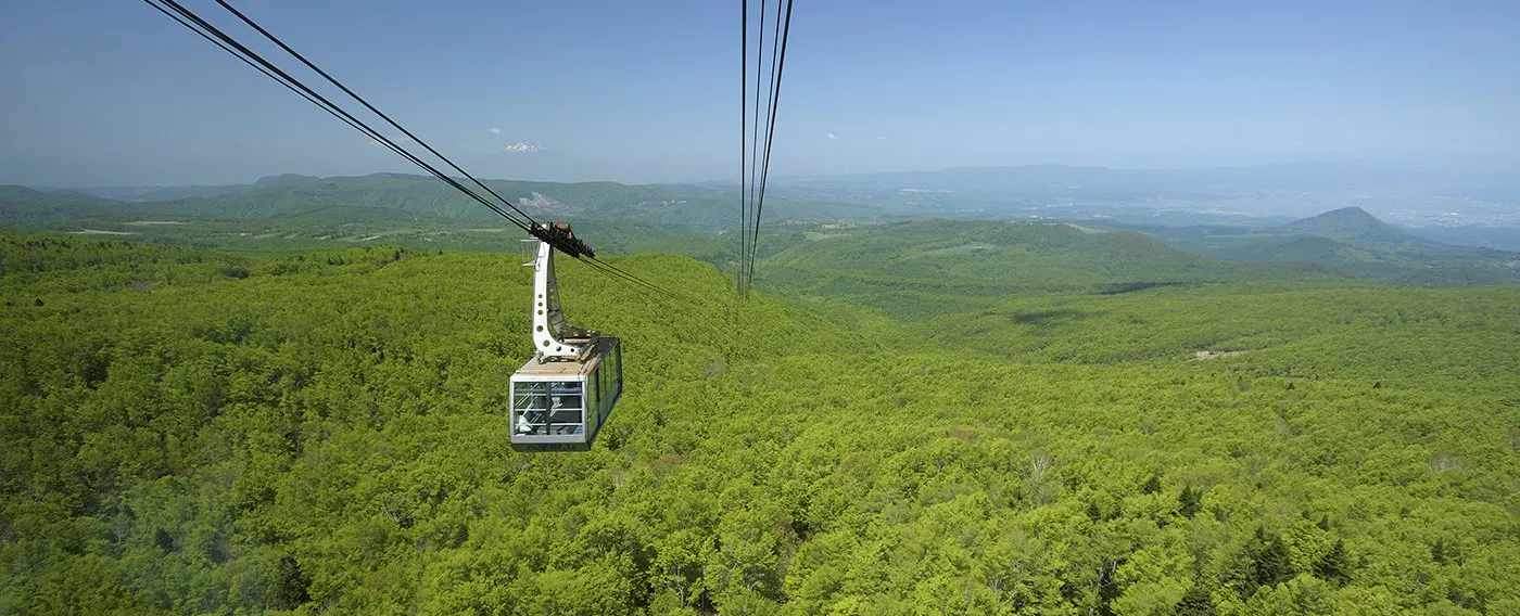 アクティビティ