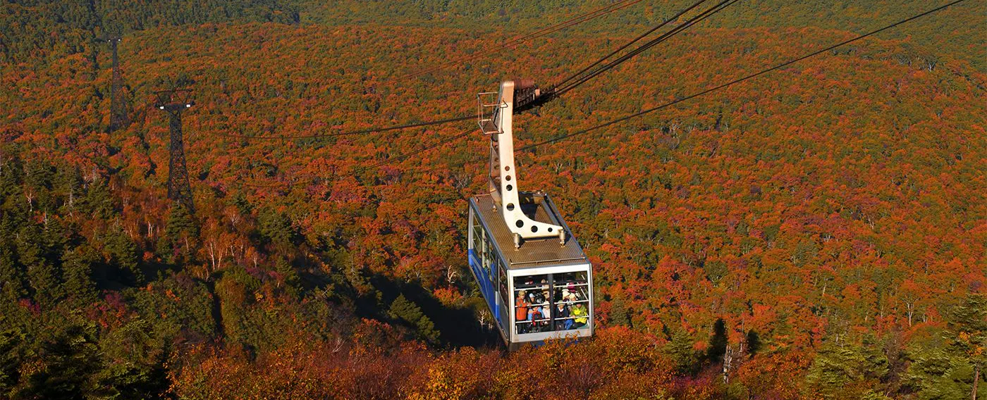 アクティビティ