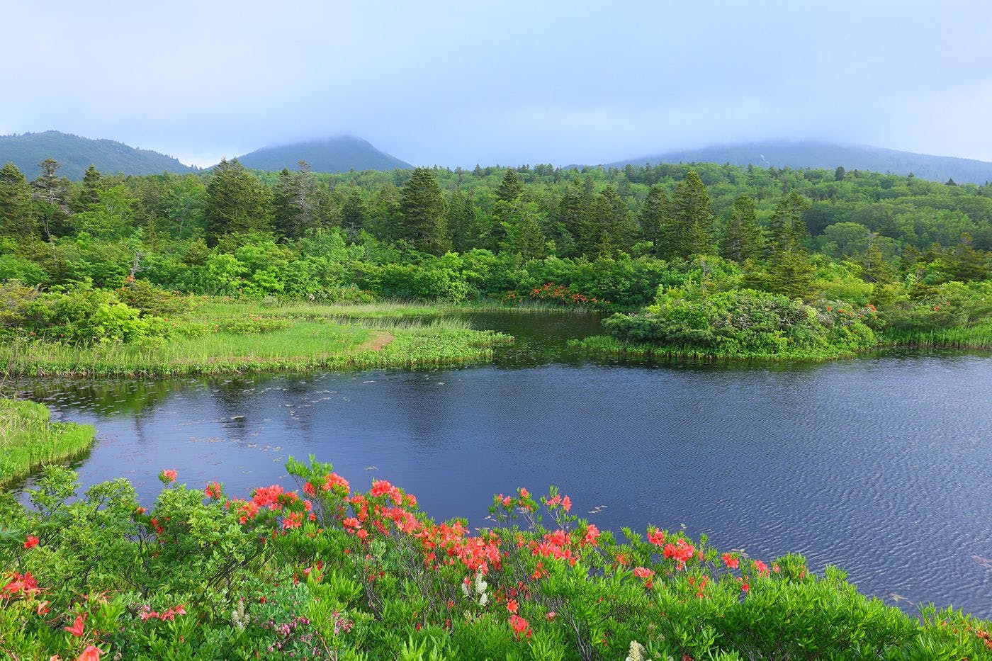 四季折々の景観