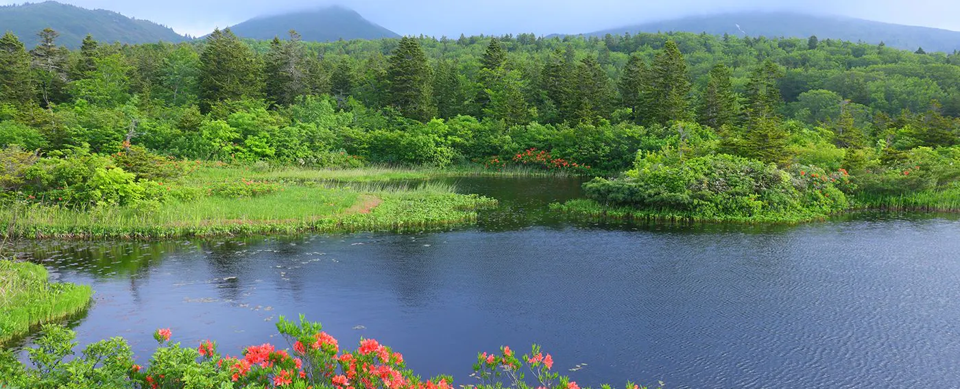 四季折々の景観