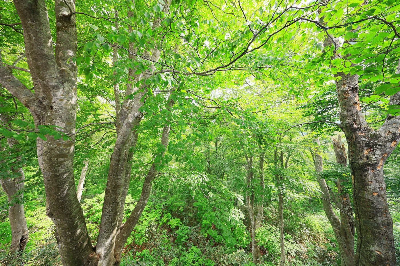 四季折々の景観