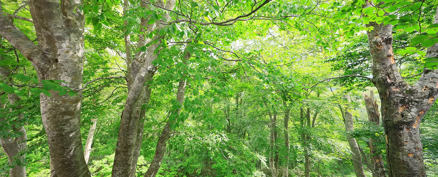四季折々の景観