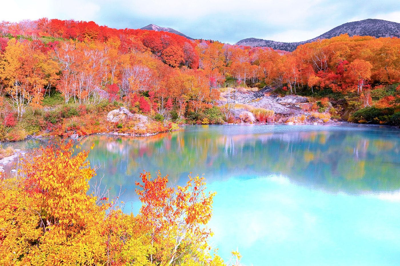 四季折々の景観