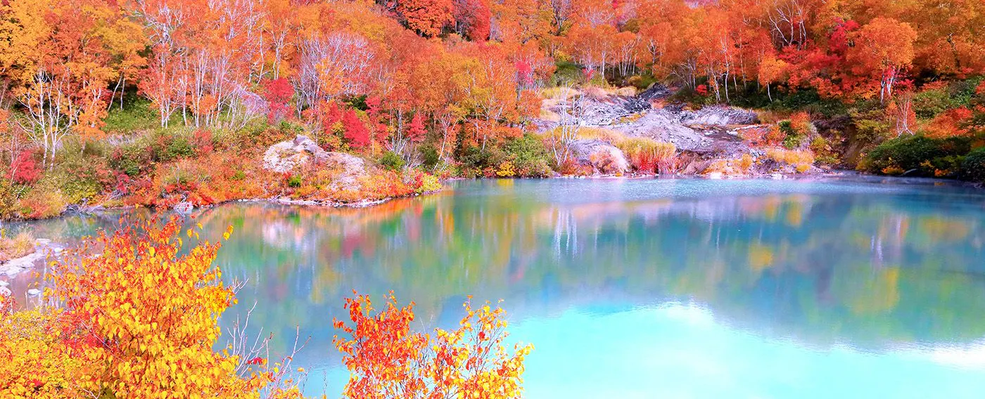 四季折々の景観