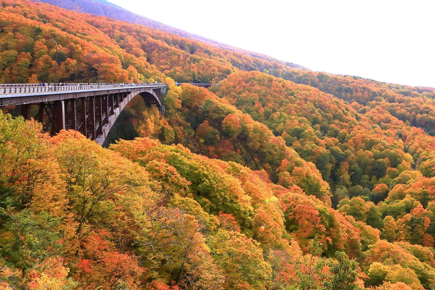 四季折々の景観