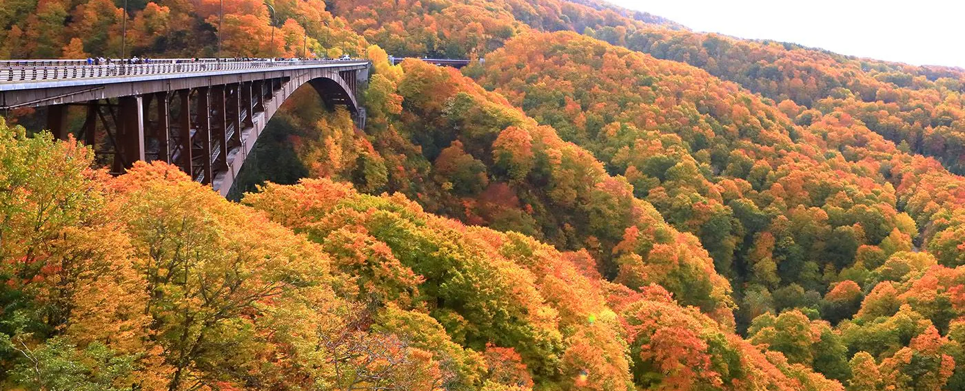 四季折々の景観