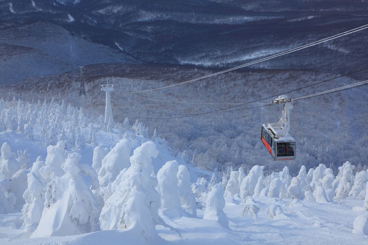 四季折々の景観