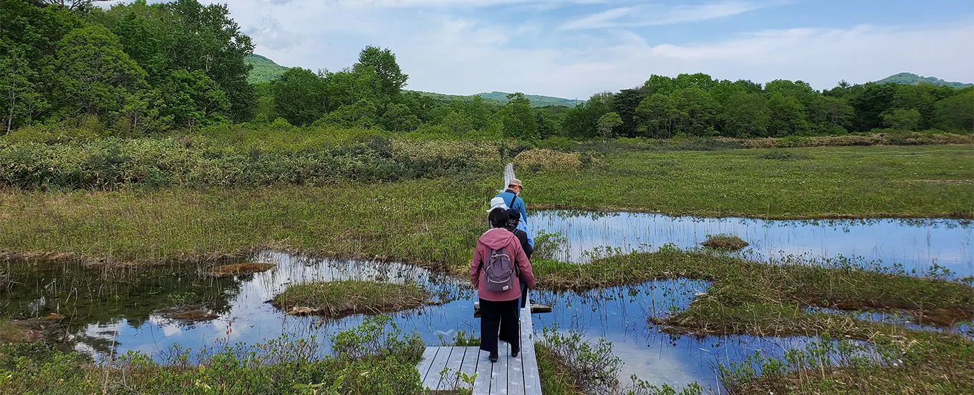 アクティビティ