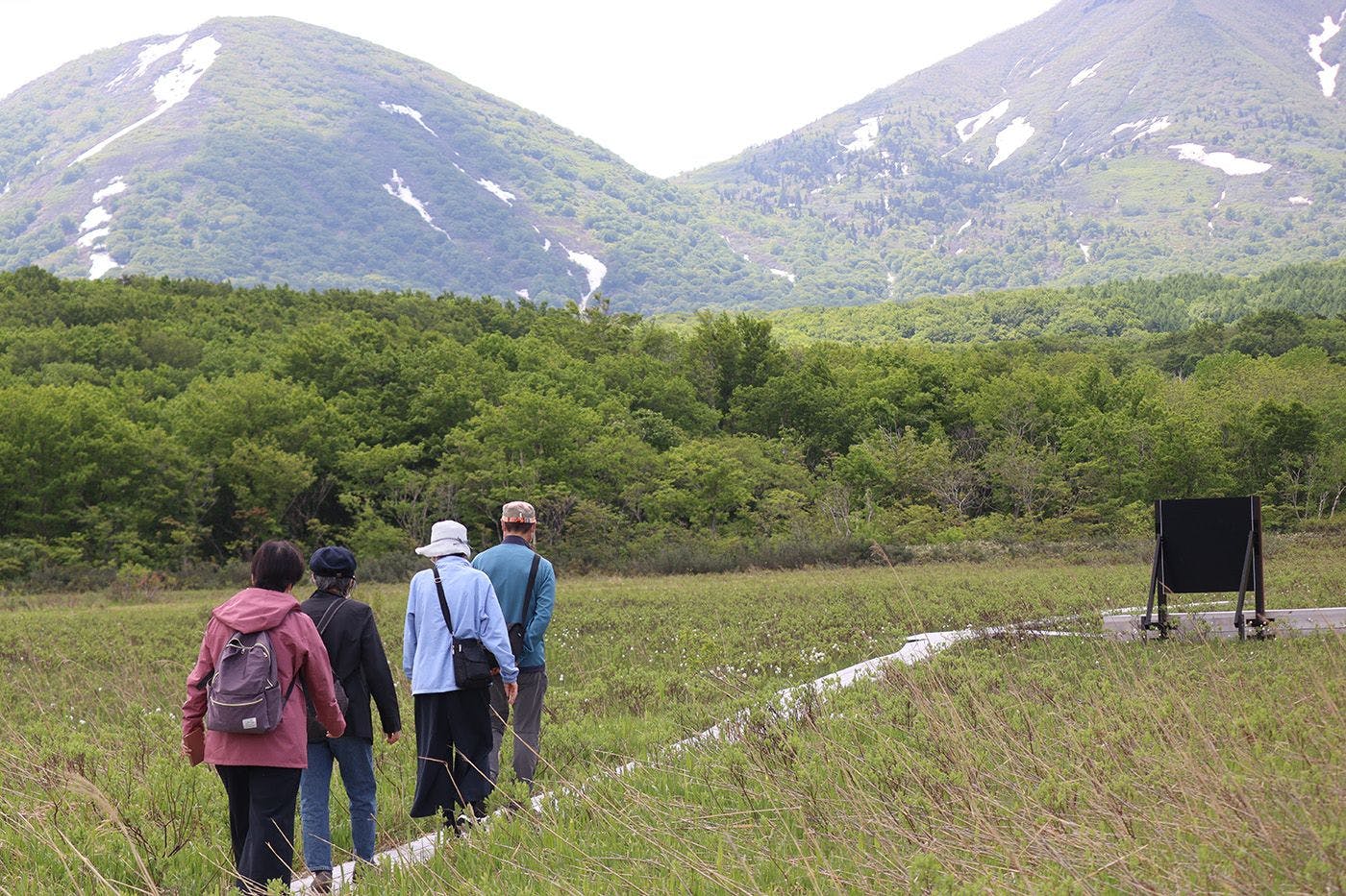 アクティビティ