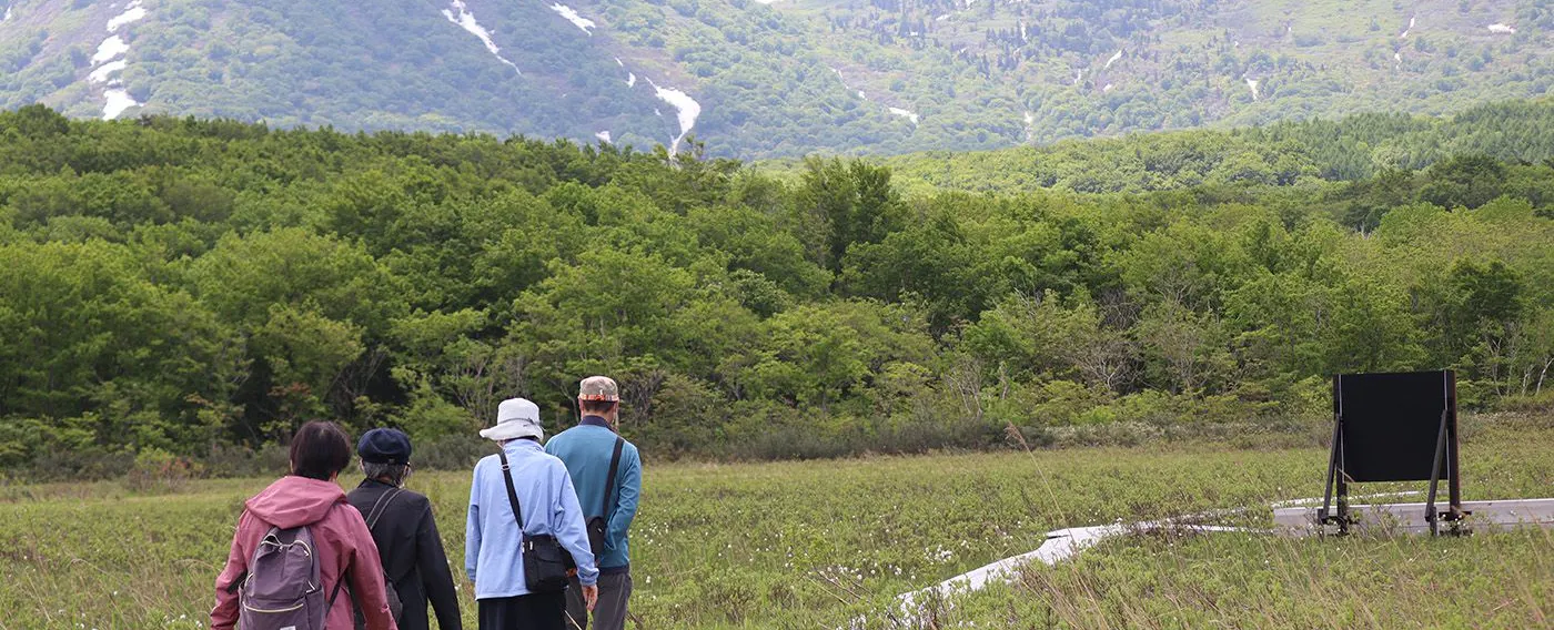 アクティビティ
