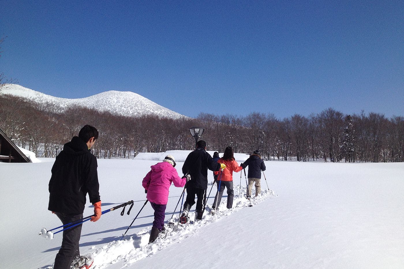 アクティビティ