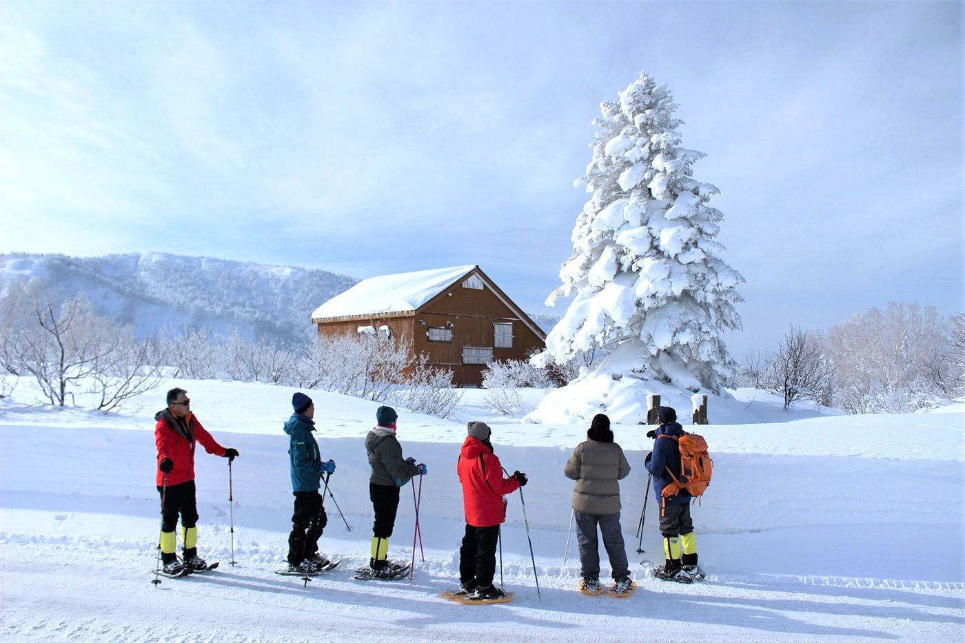 アクティビティ