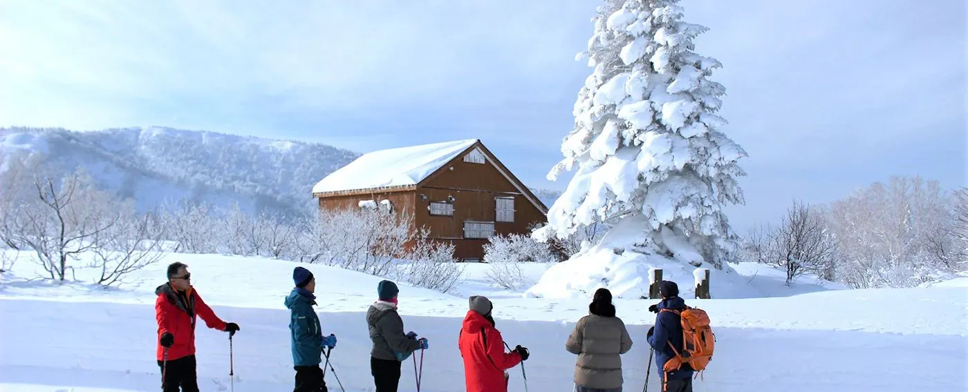 アクティビティ
