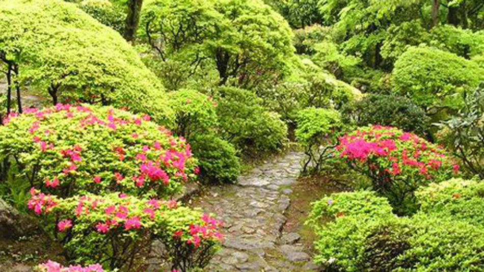 Gora Onsen Private Hot Spring Inn Gora Kansuirou