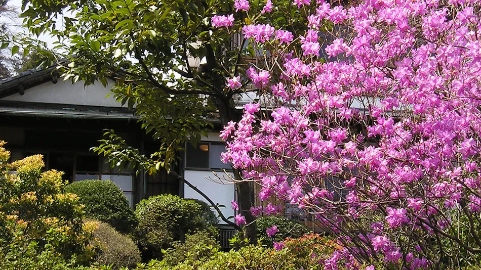 Gora Onsen Private Hot Spring Inn Gora Kansuirou