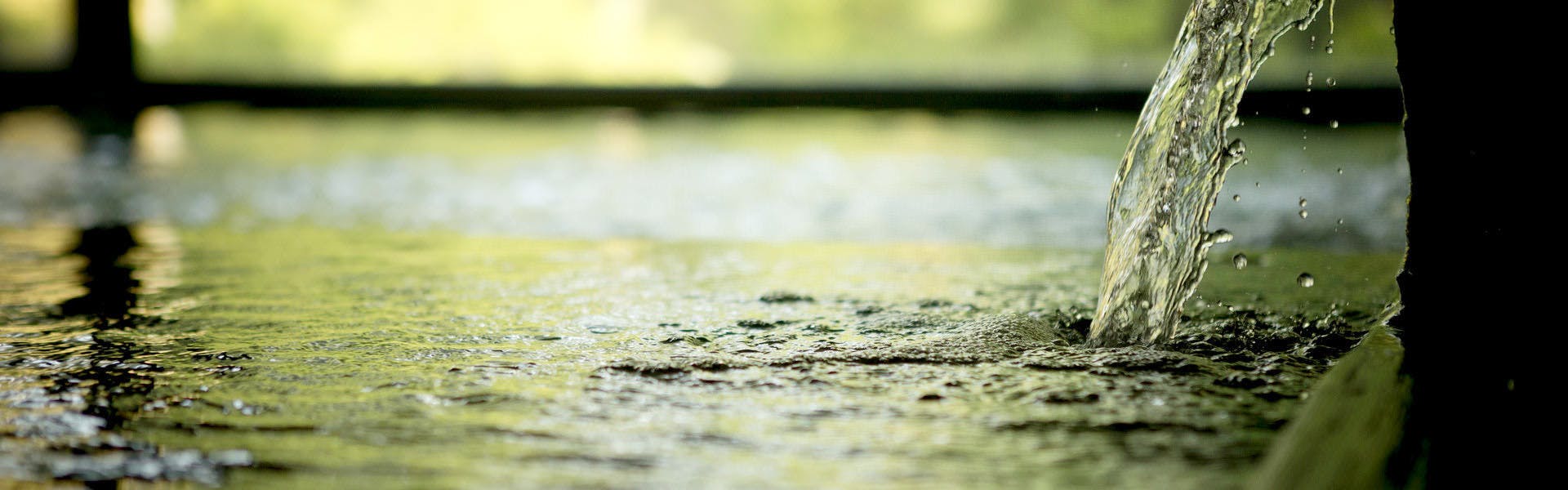 金沢辰口温泉　まつさき