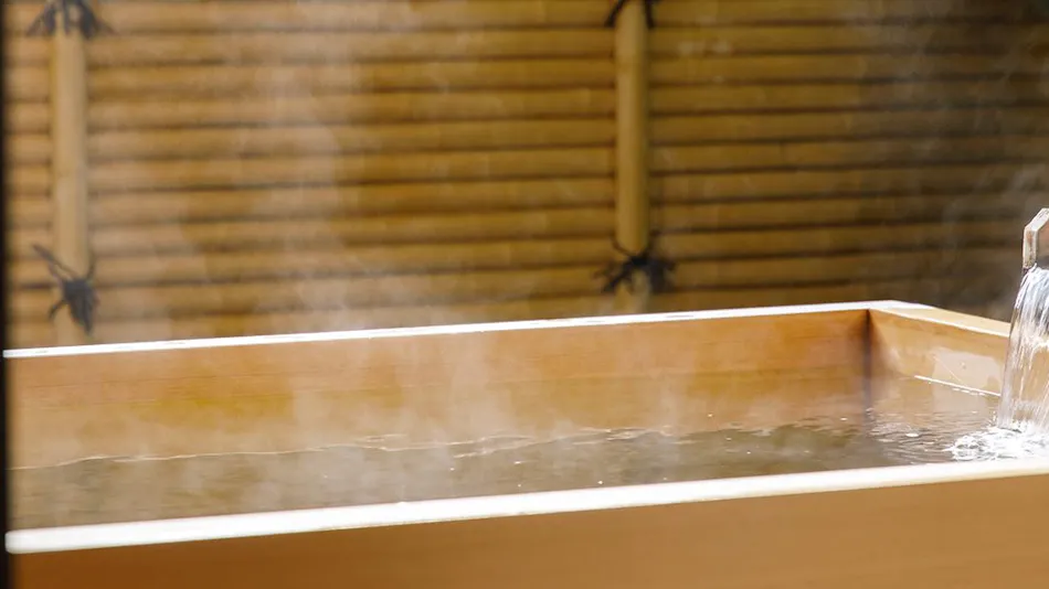 Kanazawa Tatsunokuchi Onsen Matsusaki