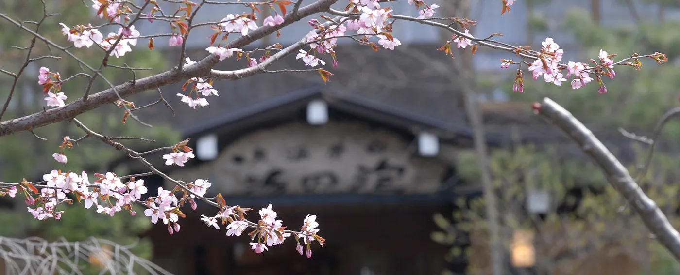 거품 목욕 분위기