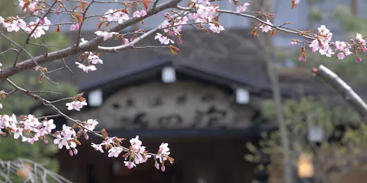 白骨の名湯 泡の湯