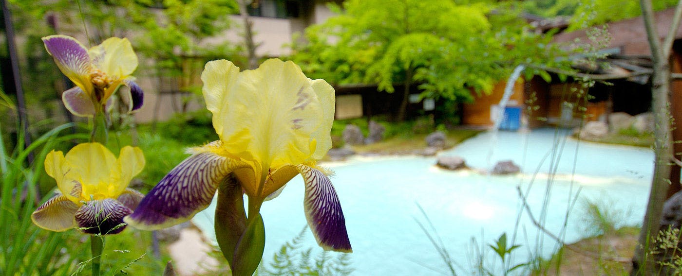 거품 목욕 분위기