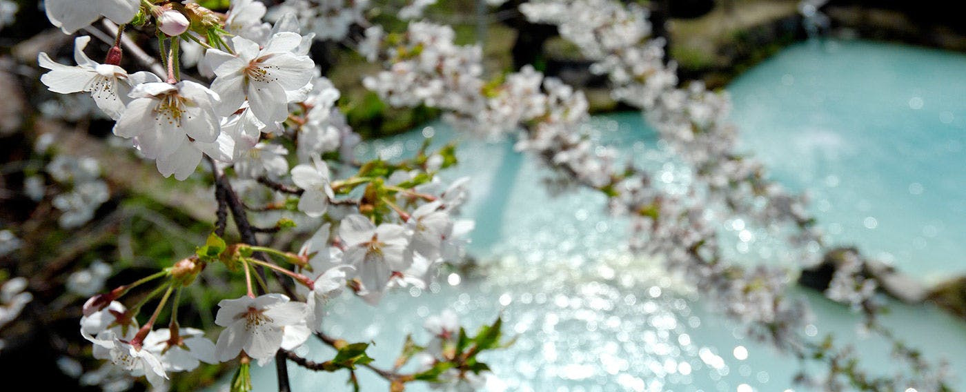 白骨の名湯　泡の湯