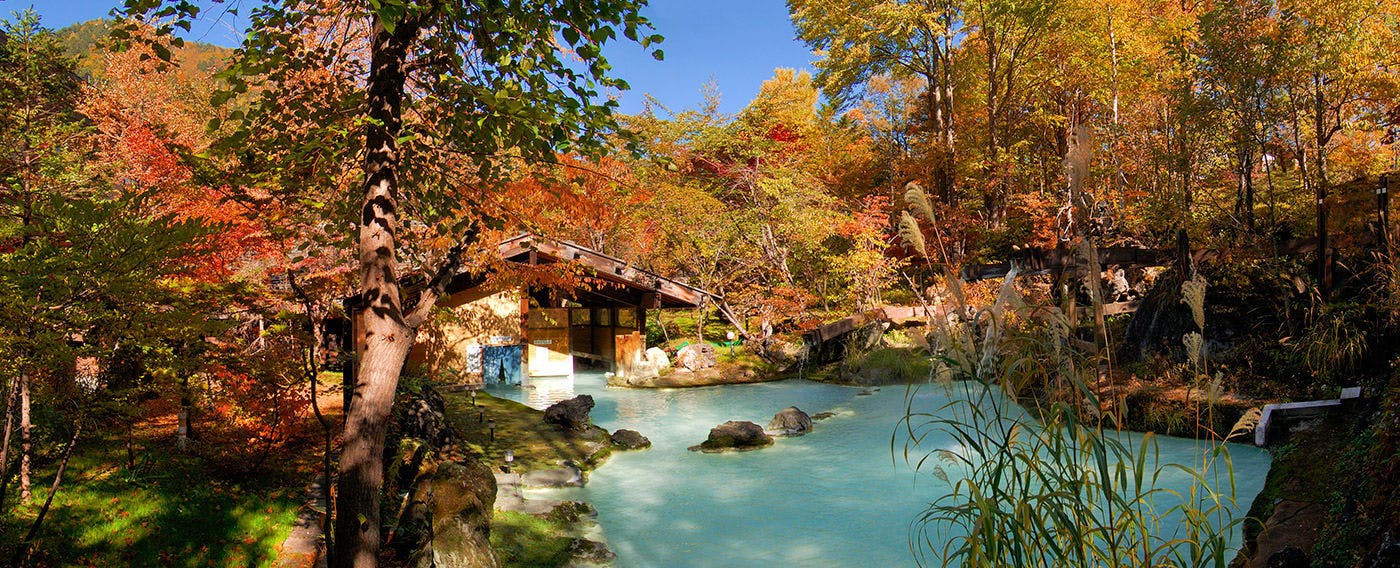 白骨の名湯　泡の湯