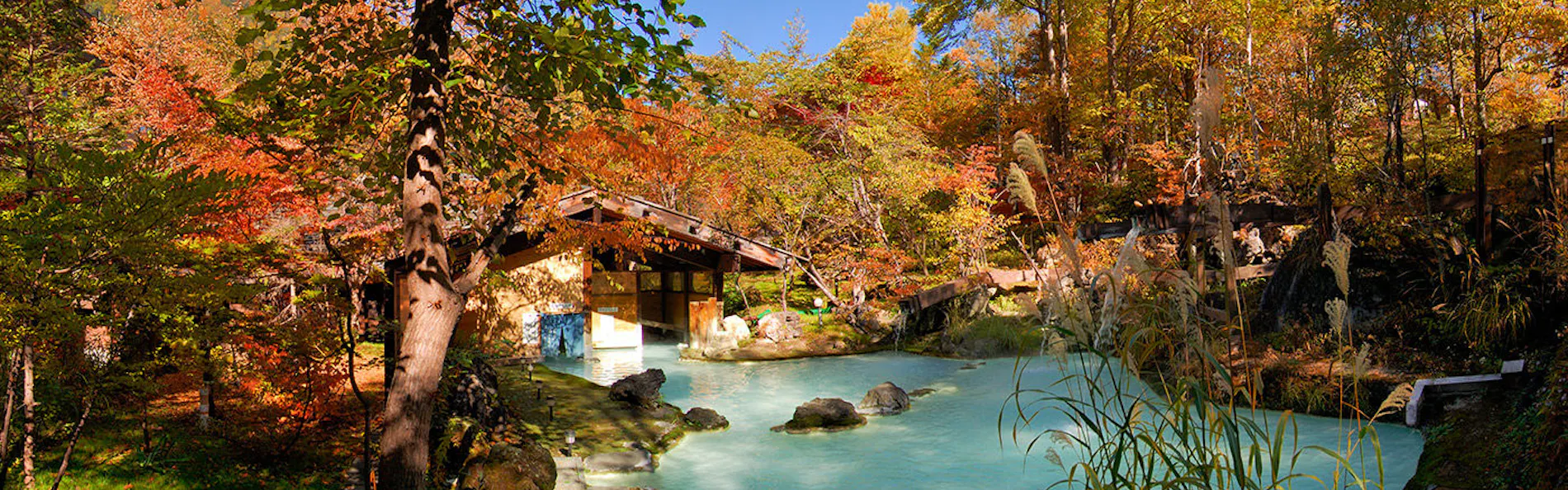 白骨の名湯 泡の湯