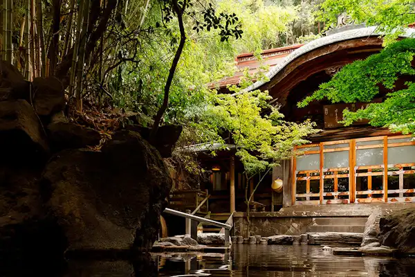 ลิลลี่แห่งหุบเขา