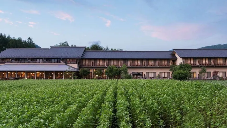 Tsutaya Kinosato Kazari
