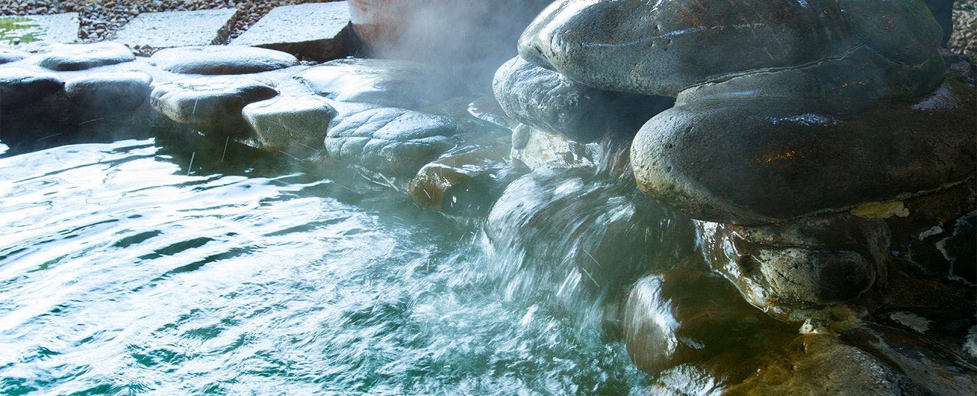 旅荘　海の蝶