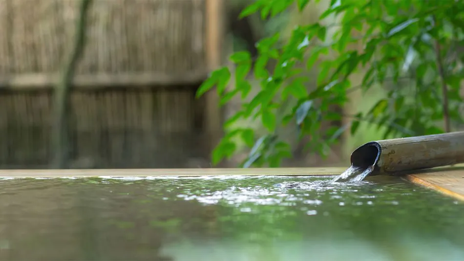 Fuga no Yado Chouseikan