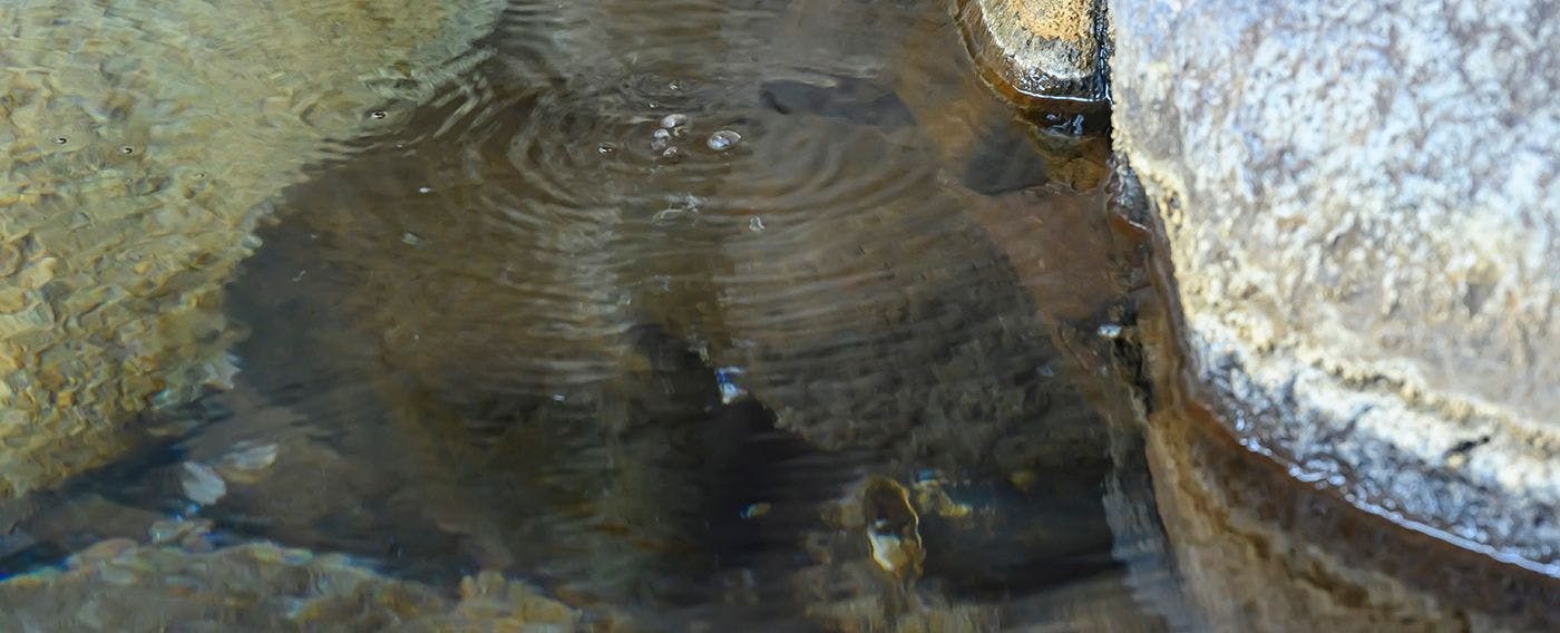 น้ำพุร้อน