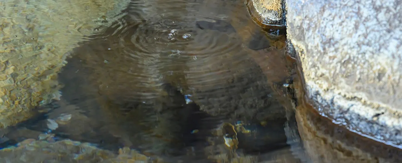 น้ำพุร้อน