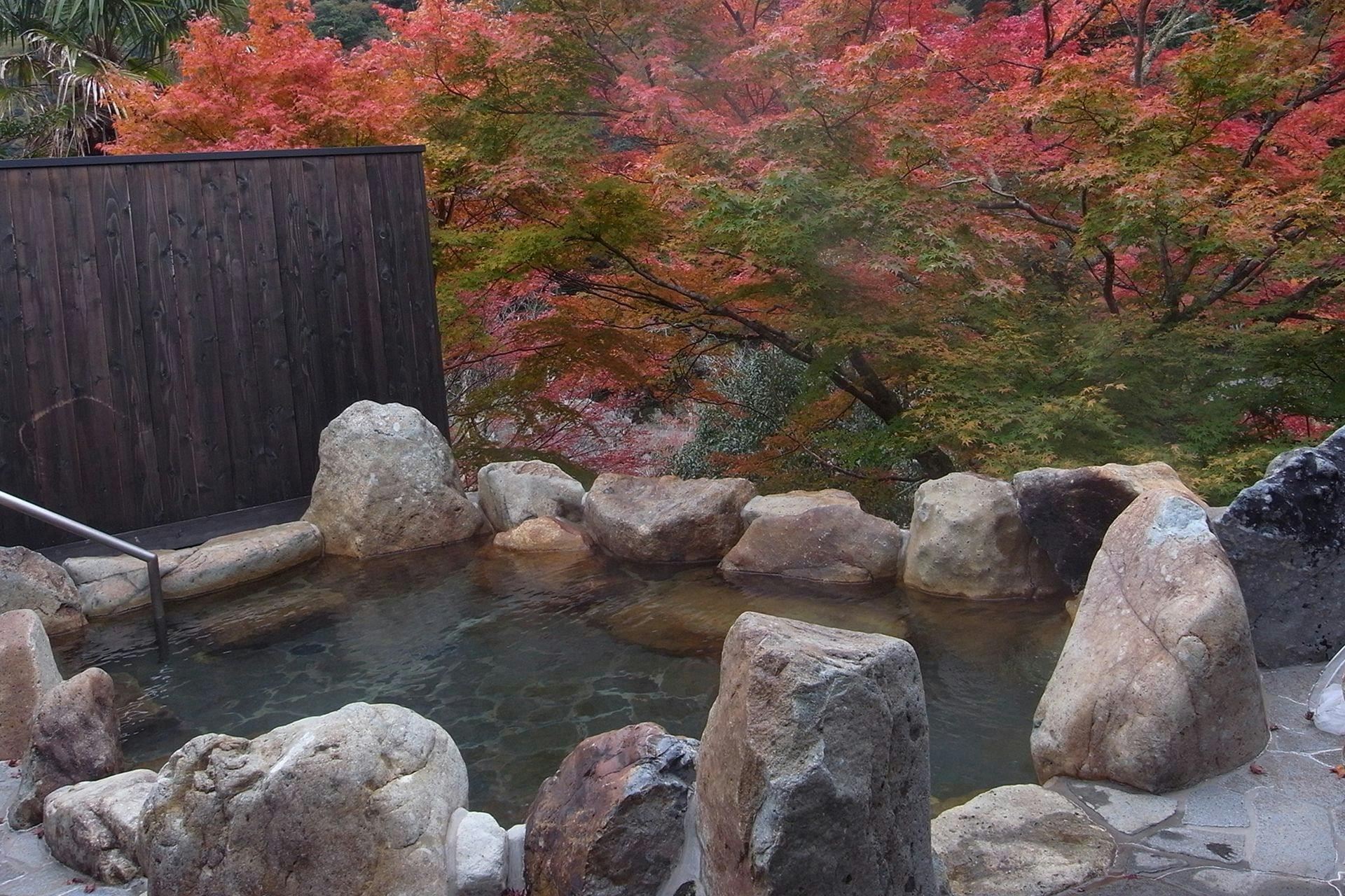 Takeda Onsen Momijikan Bettei Azare