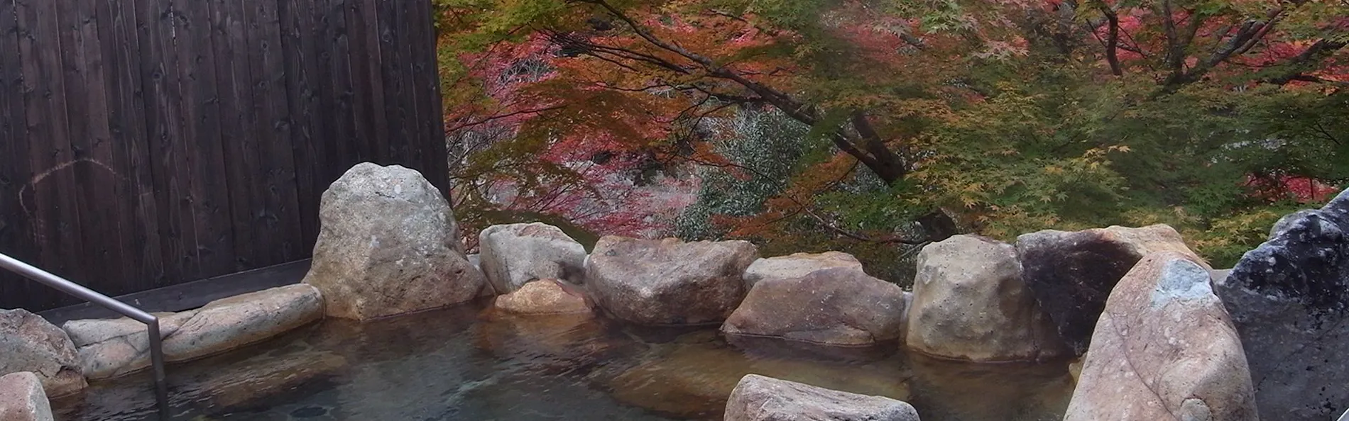 武田尾温泉 紅葉舘 別庭 あざれ