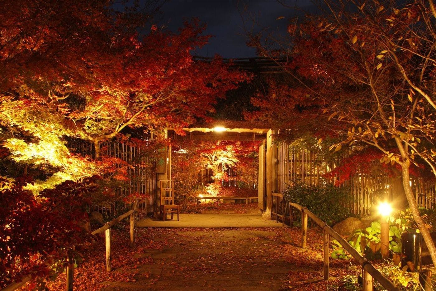 ร้านอาหาร