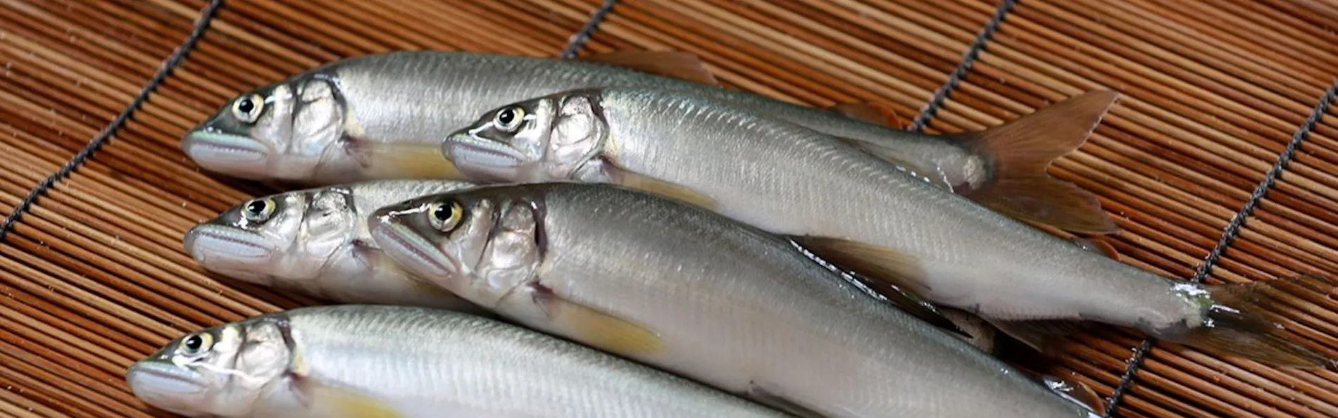 湯宿 草菴