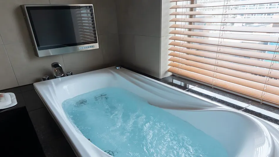 Hotel Niwa Tokyo