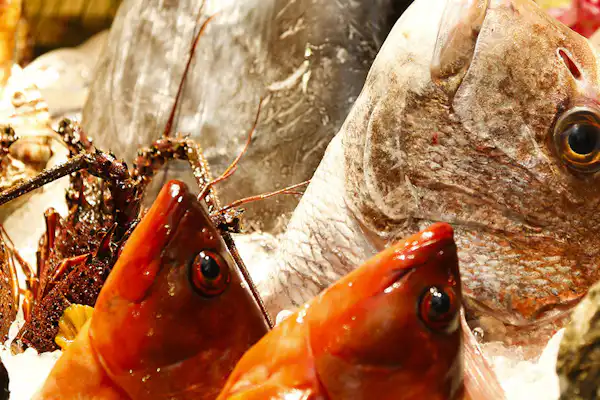 อาหารและเครื่องดื่ม